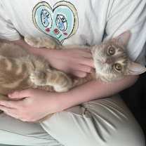 Thumbnail photo of Zucchini #3