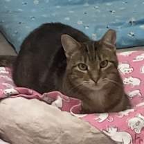 Thumbnail photo of Marnie #1