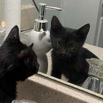 Thumbnail photo of Blue #1