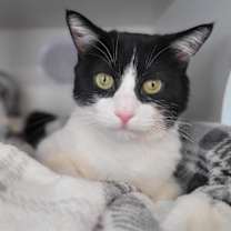 Thumbnail photo of Regina #3