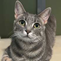 Thumbnail photo of Miley #1