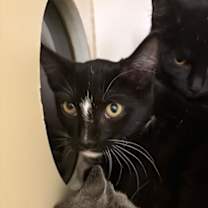 Thumbnail photo of Melinda #2