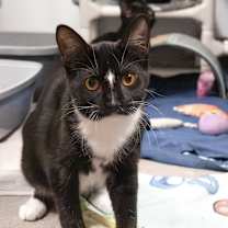 Thumbnail photo of Melinda #3