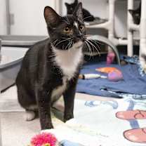 Thumbnail photo of Melinda #4