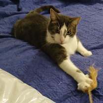 Thumbnail photo of Bell #1