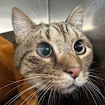 Thumbnail photo of Yuliana #4