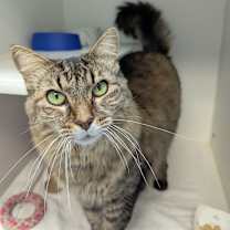 Thumbnail photo of Charlene #1