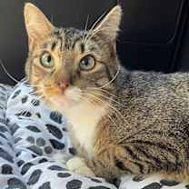 Thumbnail photo of JACKSON #1