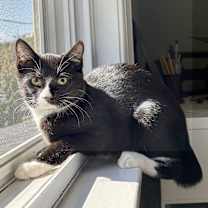 Thumbnail photo of Ms Suits #3