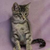 Thumbnail photo of Hayden #1