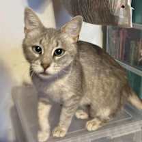 Thumbnail photo of Charlotte #3