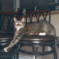 Thumbnail photo of Rosie #2