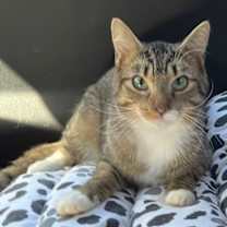 Thumbnail photo of JACKSON #2