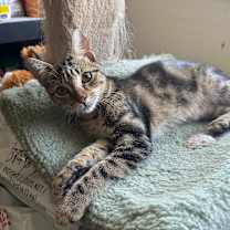 Thumbnail photo of Boo  #2