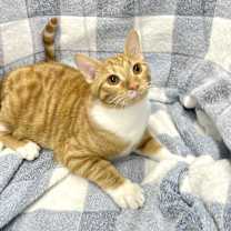 Thumbnail photo of Sparky #2