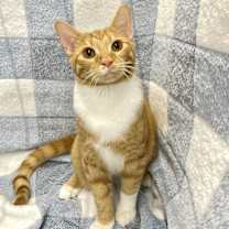 Thumbnail photo of Sparky #1