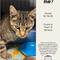 Thumbnail photo of Boca #2