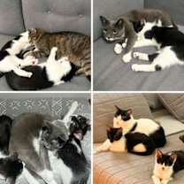 Thumbnail photo of Sally and Ruby #3