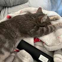 Thumbnail photo of Smoke #2