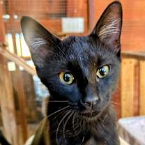 Thumbnail photo of Trick #2