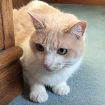 Thumbnail photo of Neo #3