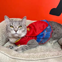 Thumbnail photo of Shayla #1