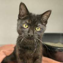 Thumbnail photo of Charles #1