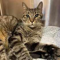 Thumbnail photo of Newton #2