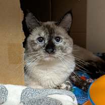 Thumbnail photo of Geneva #3