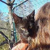 Thumbnail photo of Ozzy Pawsbourne #3