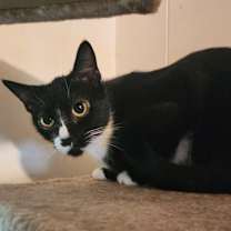 Thumbnail photo of Kate #4