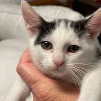 Thumbnail photo of Lucy #3