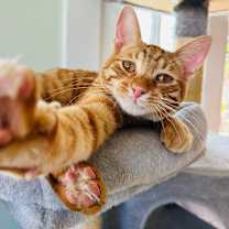 Thumbnail photo of Snoop Dogg #1