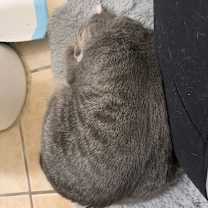 Thumbnail photo of Daisy Buchanan #4