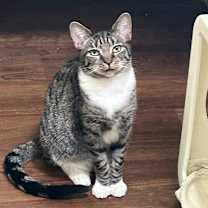 Thumbnail photo of Helly R #1