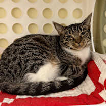 Thumbnail photo of Helly R #4