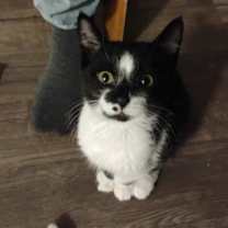 Thumbnail photo of Doja #3