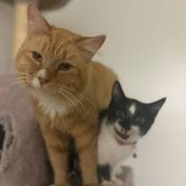 Thumbnail photo of Doja #4