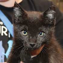 Thumbnail photo of Freya #1