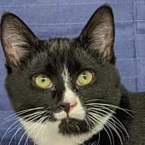 Thumbnail photo of Twix #4