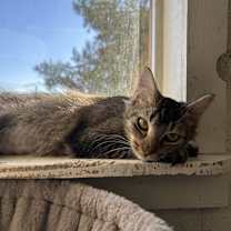 Thumbnail photo of Kathy #1