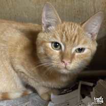 Thumbnail photo of Tim #1