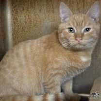 Thumbnail photo of Tim #2