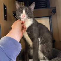 Thumbnail photo of Magnus (and Malee) #4