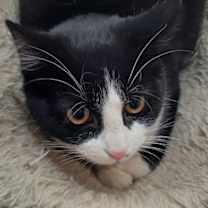 Thumbnail photo of Judy #2