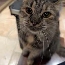 Thumbnail photo of Mabel #3