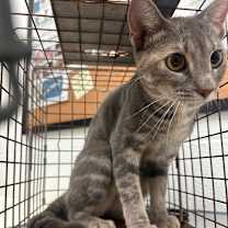 Thumbnail photo of Galilea  #1