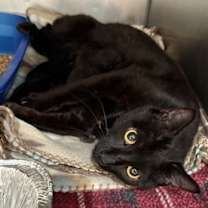 Thumbnail photo of Eliza #1