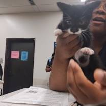 Thumbnail photo of Drogon #1