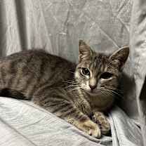 Thumbnail photo of Amy #2